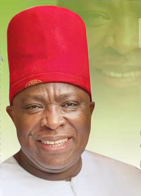 Ekwunife, PDP can’t challenge my nomination in LP - Umeh