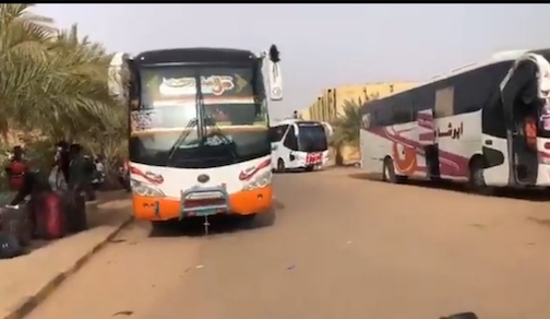 Some of the 13 buses conveying Nigerian students from Sudan to Egypt that stopped moving in the desert