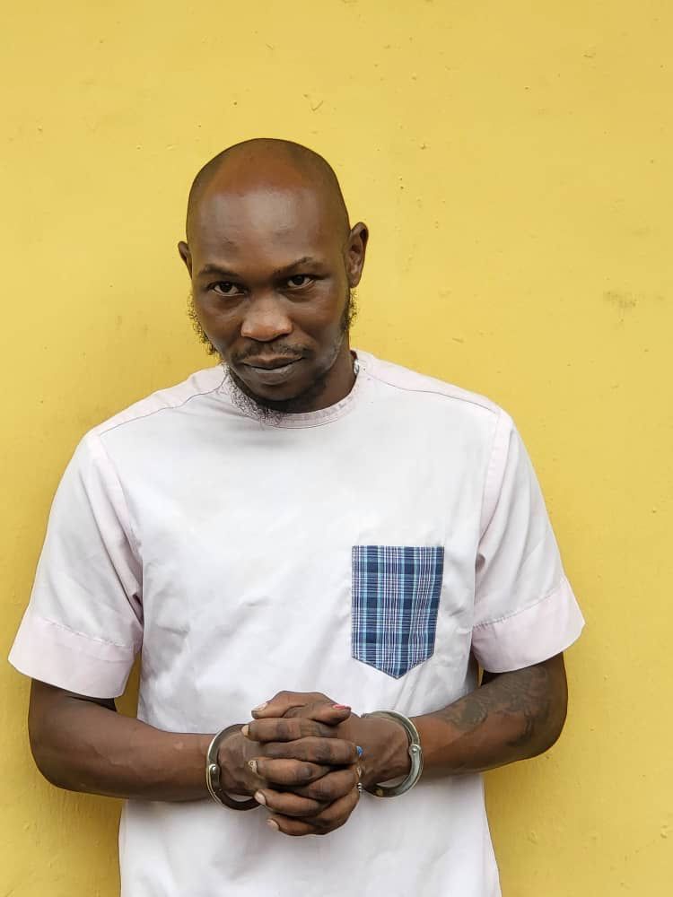 Seun Kuti, afrobeats singer now in police custody for slapping gentle police officer