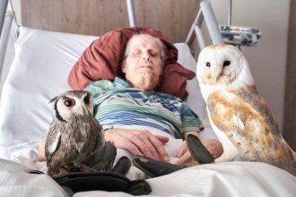 Horst Demsky, at the St. Martin hospice in Koblenz, enjoys a visit by Emma and Merlin, two therapy owls. Photo: Sascha Ditscher/dpa