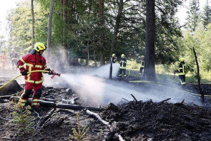 Firefighters extinguish a forest fire in Lower Franconia. Photo: Ralf Hettler/dpa