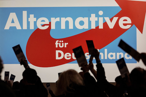 AfD delegates at a state party conference in Hesse. Photo: Swen Pförtner/dpa