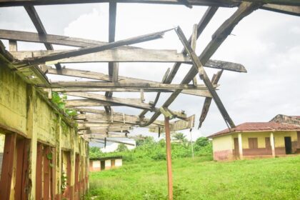 In Osun: Weeds overtakes African Primary School