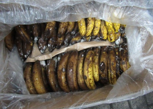 Three charged with importing cocaine in shipments of banana