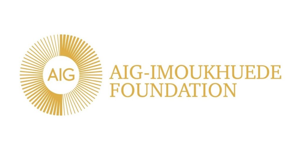 Aig-Imoukhuede Foundation announces opening of applications for AIG Public Leaders Programme