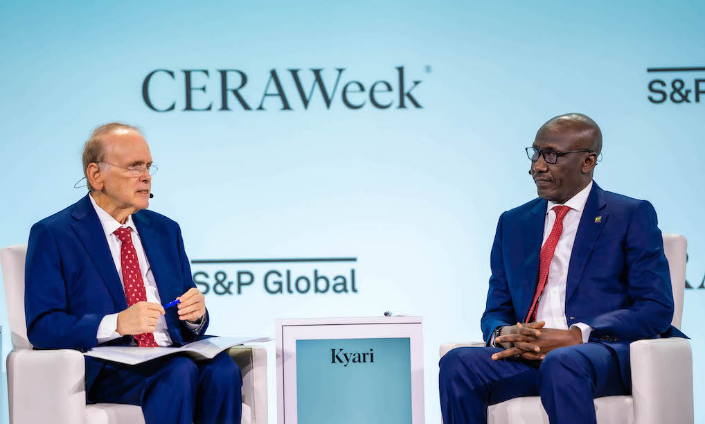 Kyari calls for differentiated energy transition for Africa