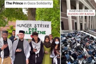 Students innovate in anti-Gaza war sweeping across USA