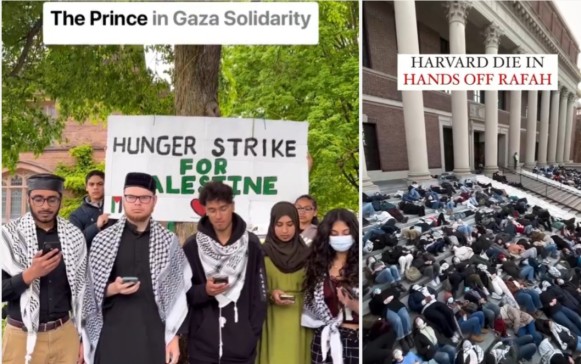 Students innovate in anti-Gaza war sweeping across USA