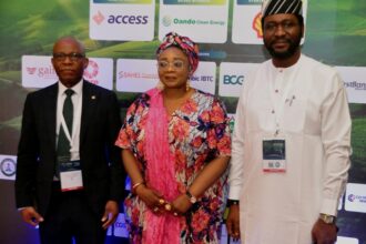 Access Bank, financing African development