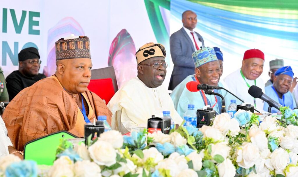 Presidency speaks on Tinubu 2027 campaign billboards nationwide