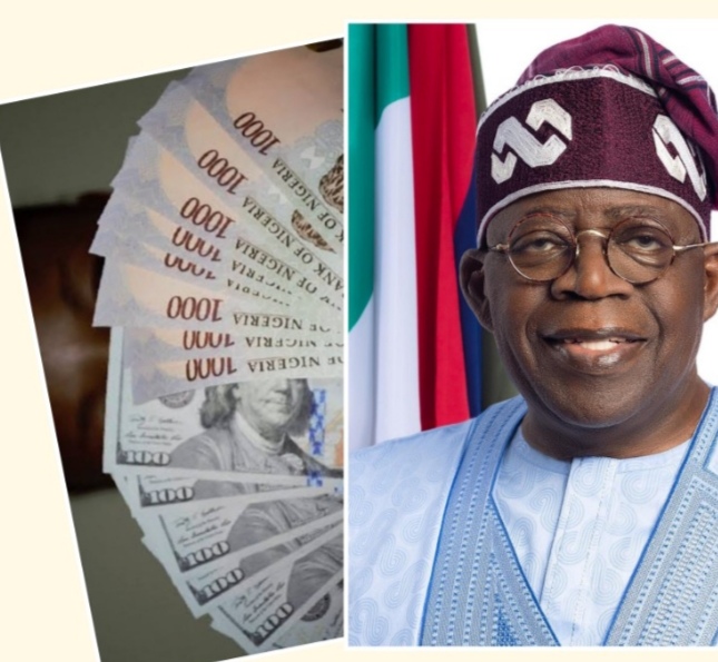 Nigeria and the diminishing power of Naira
