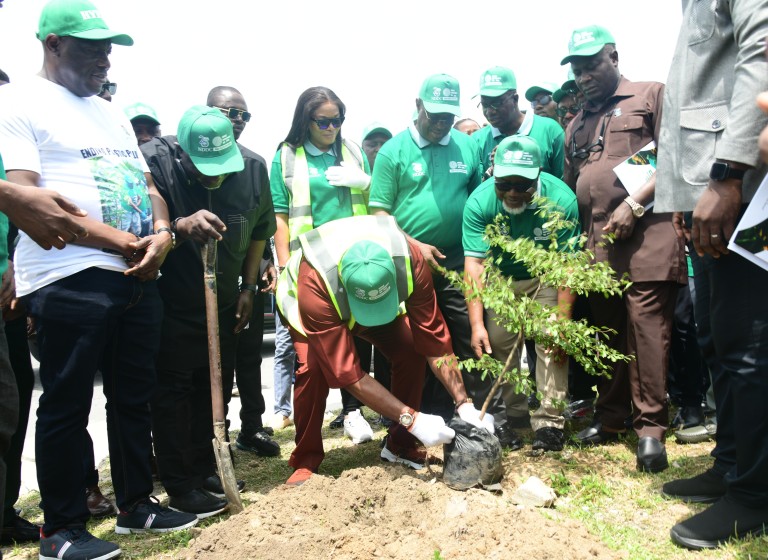 NDDC tackles environmental challenges with tree planting