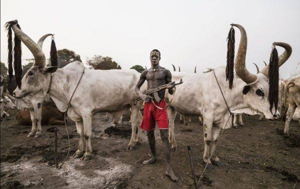 Benue Scourge: Halting attacks by Fulani herdsmen Herdsmen and blood letting in the Benue
