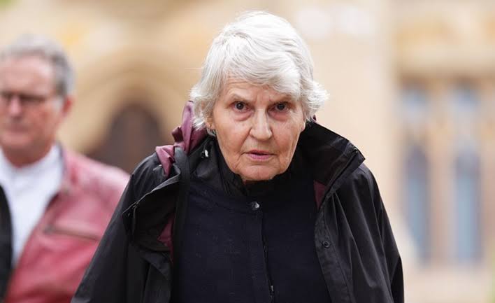 Palestine Action: Police nabs Rev. Sue Parfitt, dozens others over silent protest in London Police storm Palestine Action protest