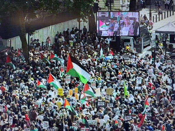 Palestine Action: Police confirms arrest of 532 in London protest