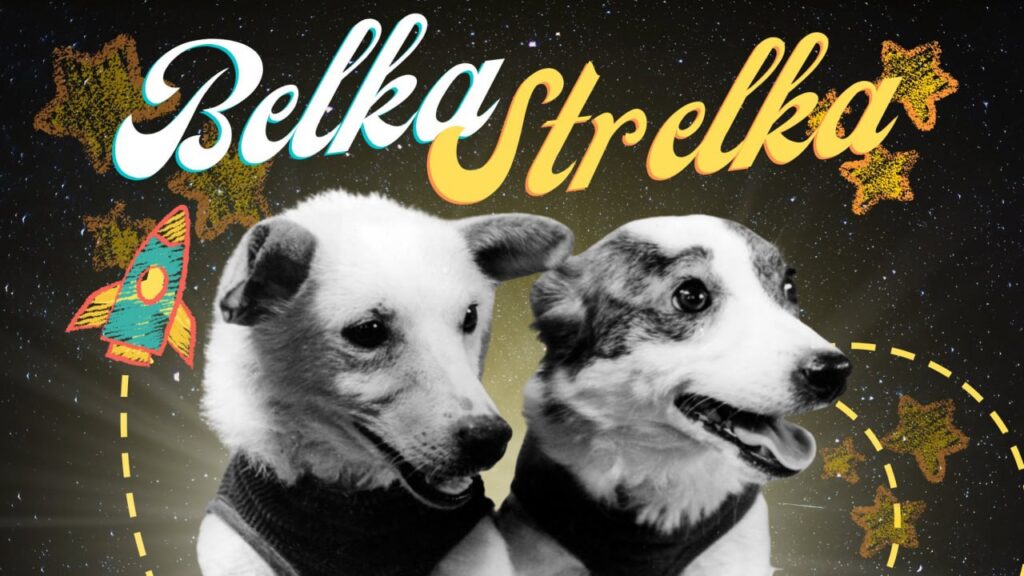 Belka & Strelka, two dogs orbit planet earth in 24 hours Dogs orbit planet earth