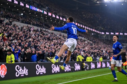 TOFFEES TAME TAME LIONS