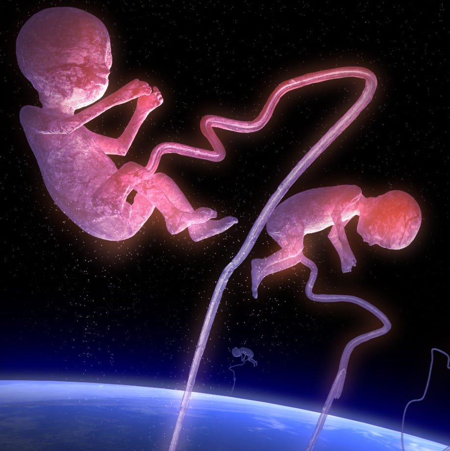 SPACE BABIES! China Sends ‘Artificial Embryos’ into Orbit to Test If Humans Can Breed in Zero-G LAB TO LUNAR: Scientists launch synthetic human embryos into space in hunt for Earth disease cures