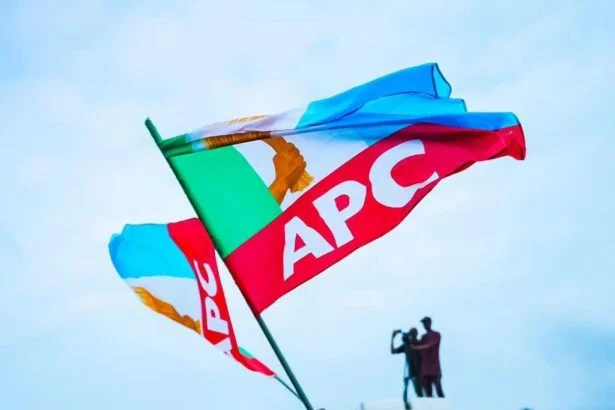 YETUNDE ADESANYA, SOUTH-WEST APC WOMEN LEADER PASSES APC woman leader dead