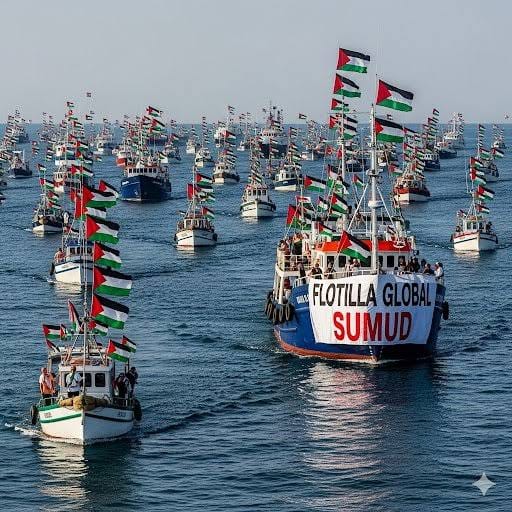 Abuse and Unlawful Detention Claims on High Seas Spark New ICC Legal Petition Against Israel Lawyers Petition International Criminal Court to Probe Israeli Interception of Gaza Aid Flotilla