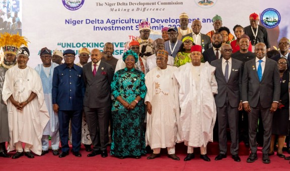Food Security: How NDDC, Federal Government Plan to Unlock Niger Delta’s Arable Wealth Vice President Shettima Launches Niger Delta Agric Development, Investment Fund