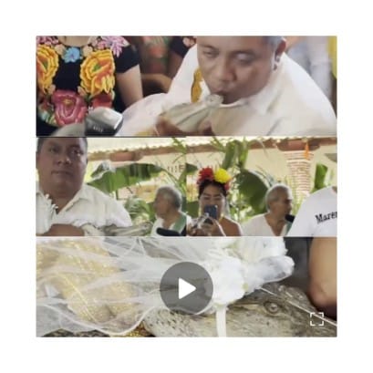 WITH THIS RING, I WED THEE? Inside The Ancient Ritual Where A Mayor Weds A Crocodile For Good Luck CROCODILE ROCK! Mexican Mayor Marries An Eight-Foot Reptile In Bizarre Town Tradition