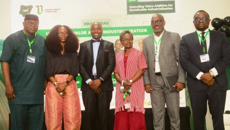 Invest in Energy Infrastructure To Boost Financial Inclusion, Economic Growth, Interswitch Group CEO Tells Africans Invest in Energy Infrastructure To Boost Financial Inclusion, Economic Growth, Interswitch Group CEO Tells Africans