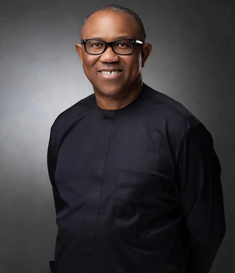 Inside the Shocking Integrity Records of Peter Obi—the Man Who Refused Millions to Save His Nation