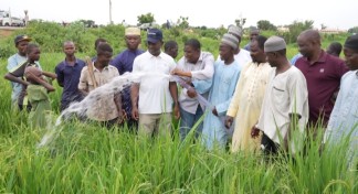 NASENI Demonstrates Solar Irrigation System Benefits to Kano Farmers