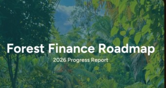 As Global Forest Deficit Reaches $67 Billion, African Leadership Delivers Blueprint for Action
