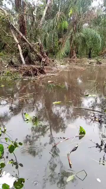 MILITARY AIRCRAFT WITH 32 ONBOARD CRASHES NEAR ONDO NAVAL BASE