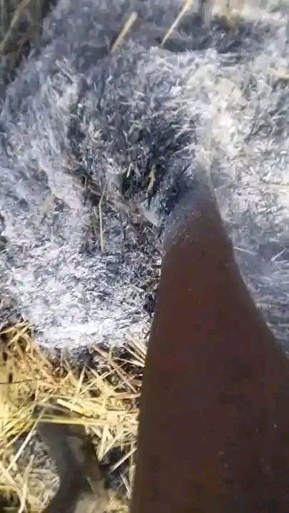 BANDITS BURN HARVESTED RICE, ABDUCT FIVE IN FRESH ZAMFARA COMMUNITY ATTACK